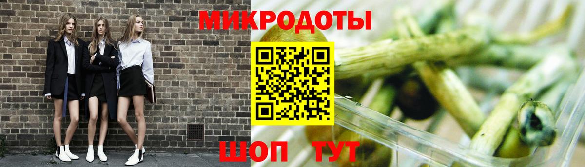 Псилоцибиновые грибы Cubensis Кингисепп